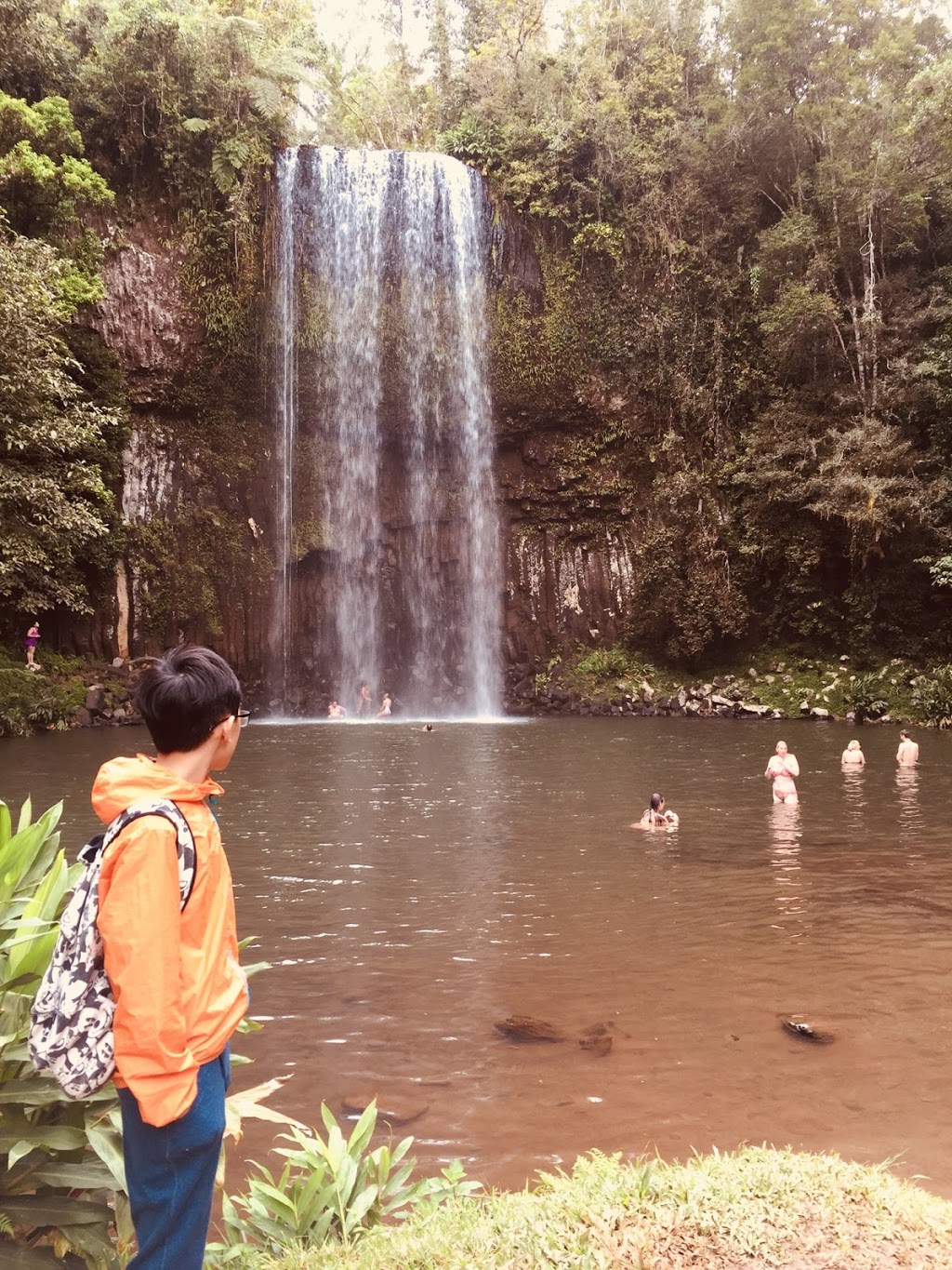 Millaa Millaa Falls | park | Millaa Millaa QLD 4886, Australia