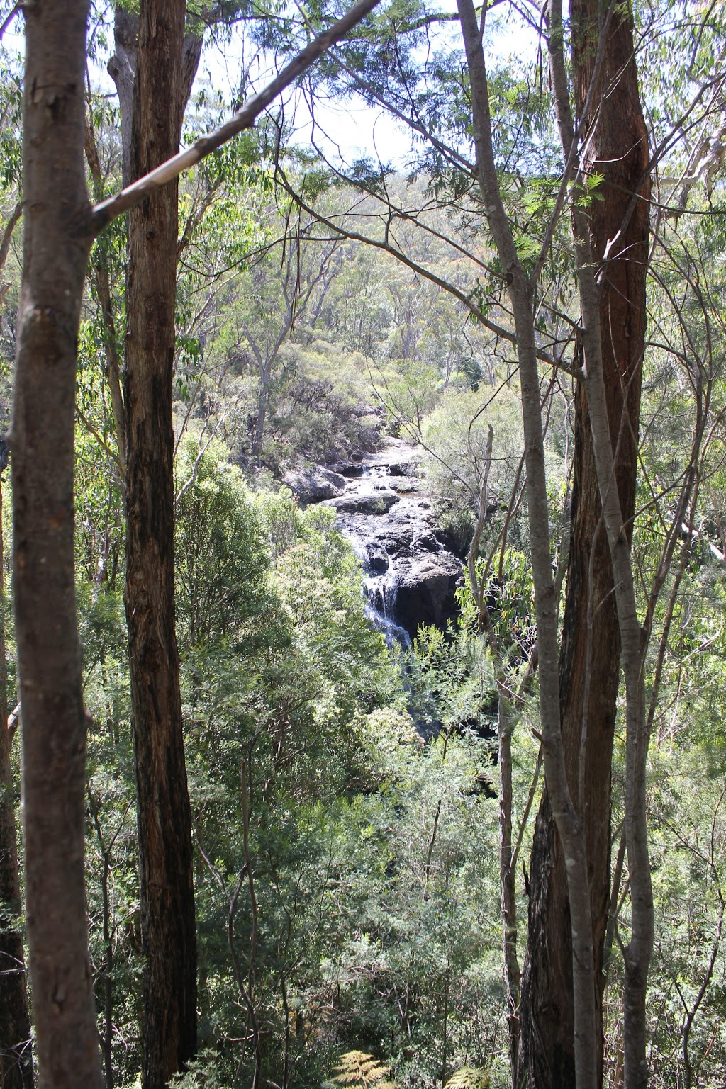 Boundary Falls Campground | campground | Wades Road, Moogem NSW 2370, Australia | 0267390700 OR +61 2 6739 0700