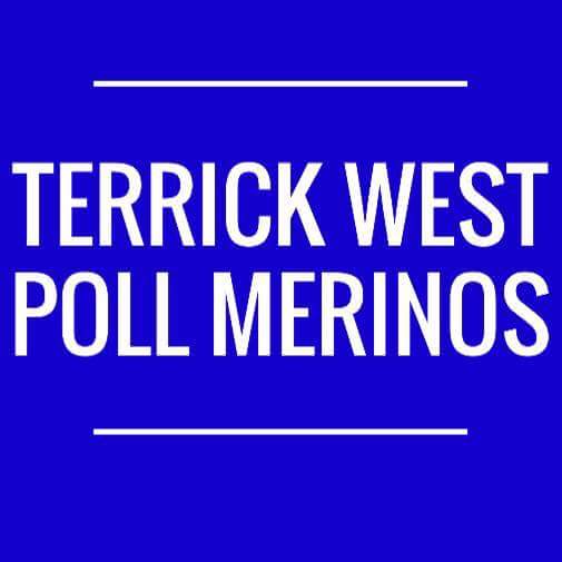 Terrick West Poll Merinos | food | 2400 Echuca-Serpentine Rd, Prairie VIC 3572, Australia | 0428368270 OR +61 428 368 270