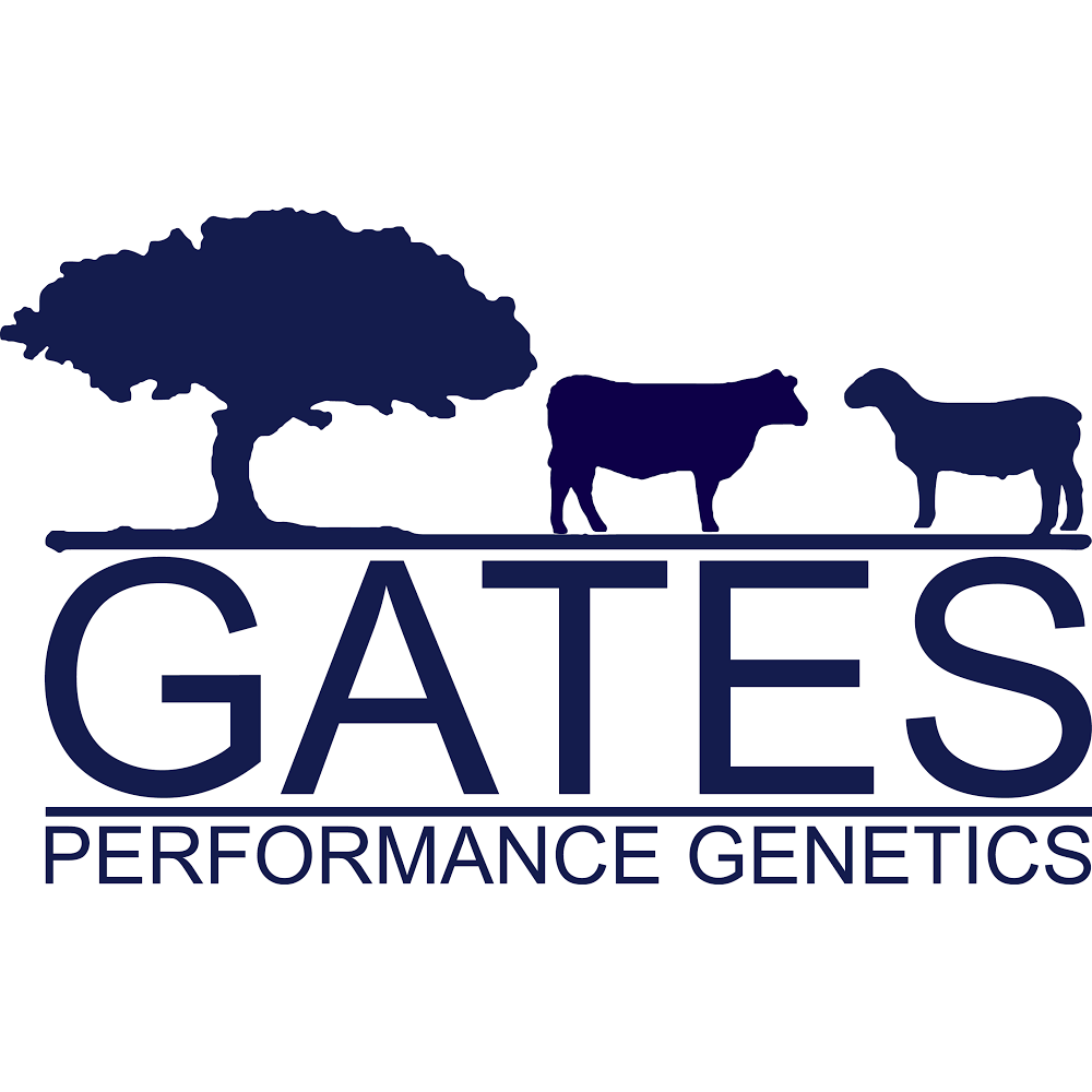 Gates Performance Genetics | 231 Dwyers Range Rd, Mihi NSW 2358, Australia | Phone: 0427 711 254