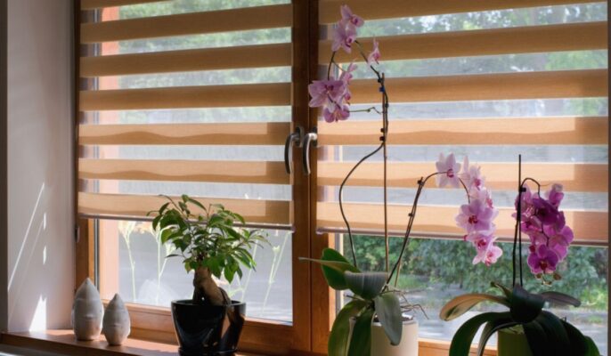 Australian Window Fashions | Appointment Only, Unit 46/3 Dyson Ct, Breakwater VIC 3219, Australia | Phone: (03) 5223 2143