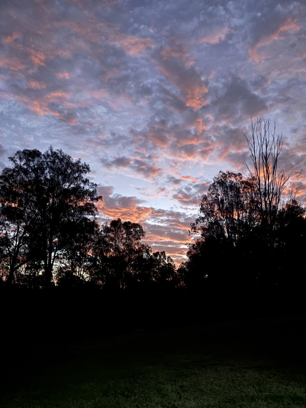 Rocky Creek Homestead | 12 Brookside Pl, Postmans Ridge QLD 4352, Australia | Phone: 0450 661 476