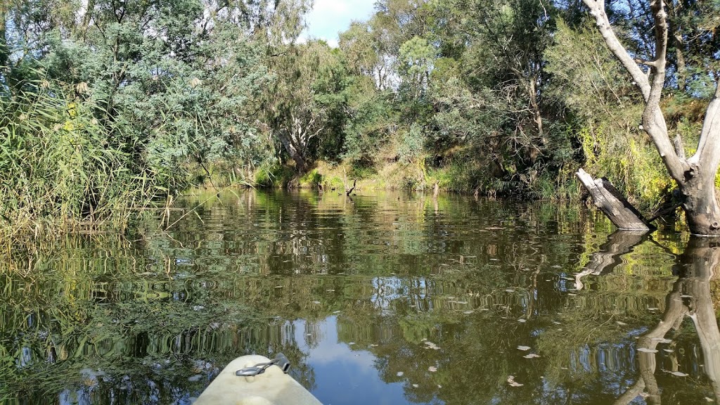 Mooralbool and Barwon Rivers junction | park | Barwon Aqueduct River Trail, Highton VIC 3216, Australia