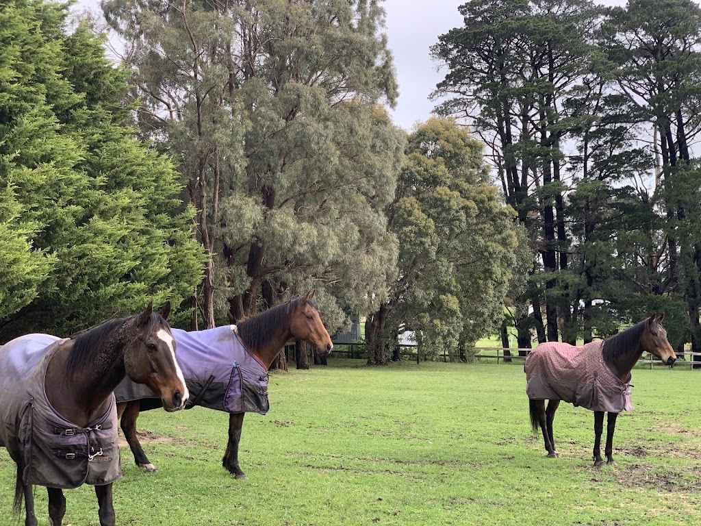 Noble Equine - Boutique Spelling & Rehab |  | 25 Thompson Rd, Tynong North VIC 3813, Australia | 0410665303 OR +61 410 665 303
