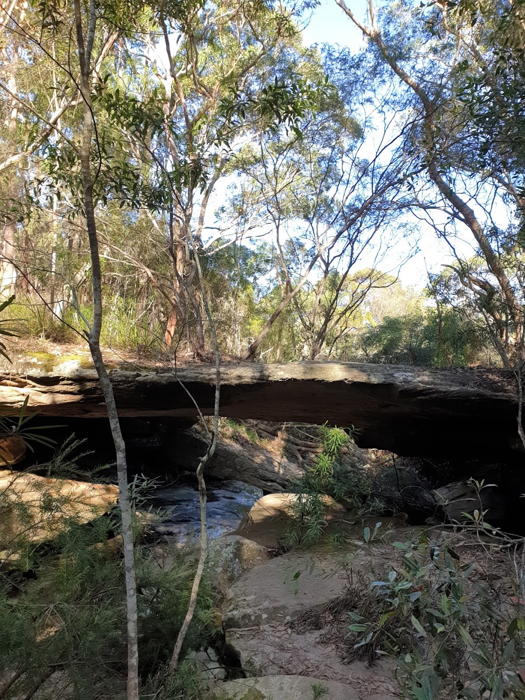 Natural bridge | park | Natural Arch Track, Killarney Heights NSW 2087, Australia