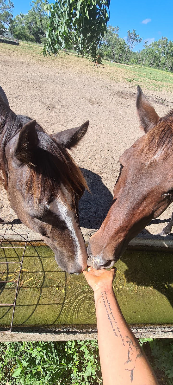 Ranchlands Equestrian Centre |  | 83 Hammond Way, Kelso QLD 4815, Australia | 0400345727 OR +61 400 345 727