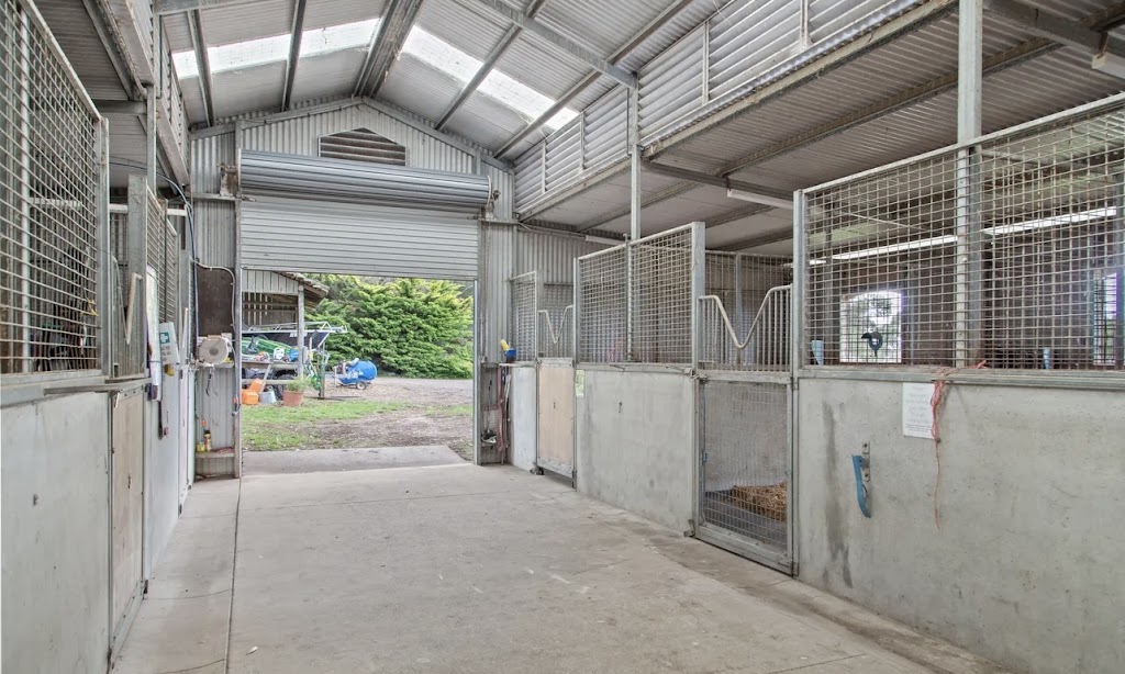 South Peninsula Stables | 177 Coolart Rd, Hastings VIC 3915, Australia | Phone: 0409 217 278