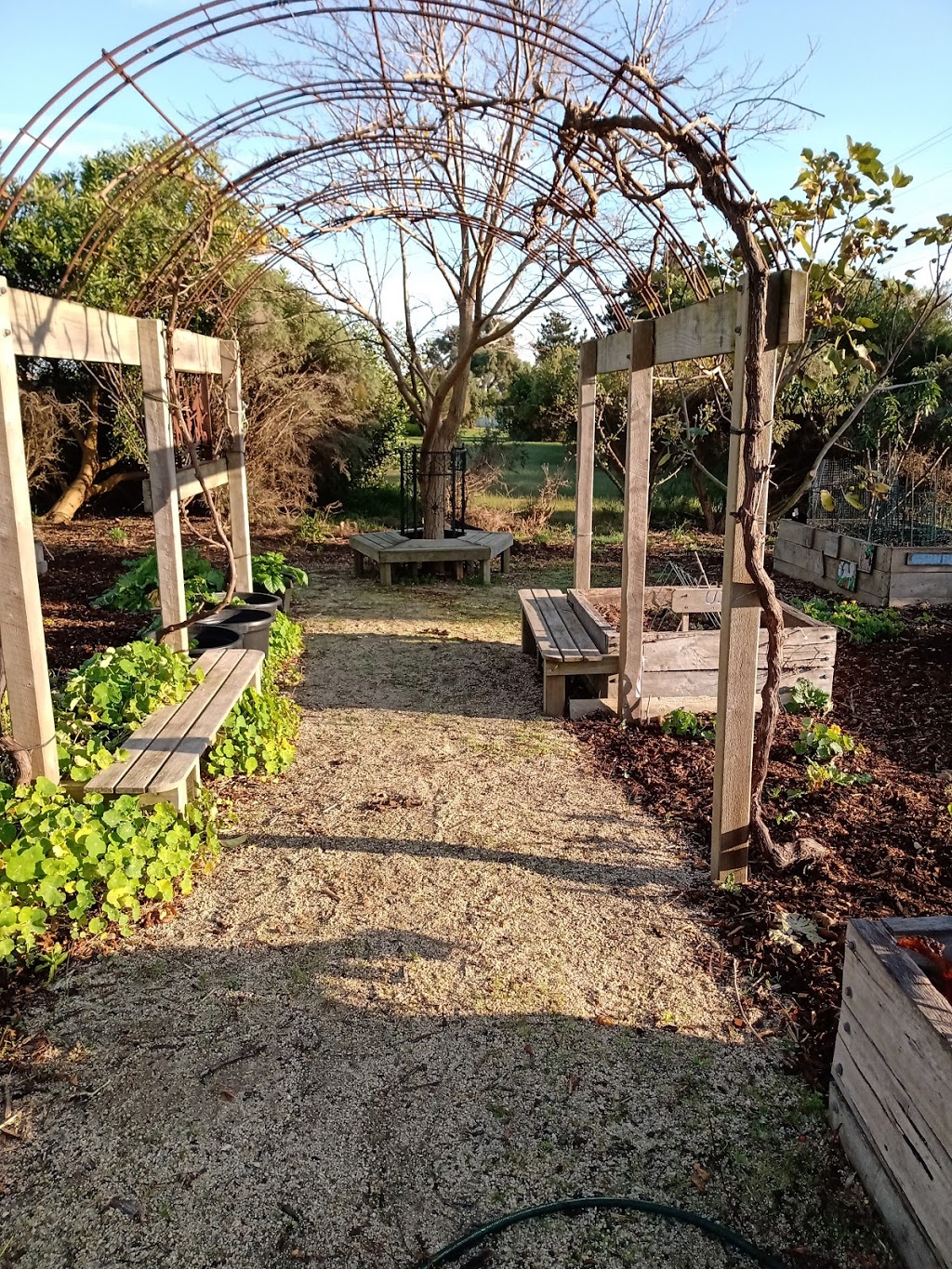 Abundant Gardens Bass Coast | 119 Scenic Dr, Cowes VIC 3922, Australia | Phone: 0429 001 214