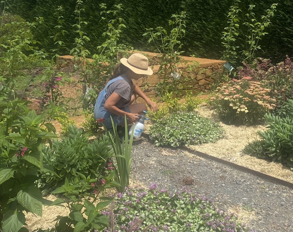 CMB Creative Gardens | 3 Mackeys Ln, Robertson NSW 2577, Australia | Phone: 0401 949 878