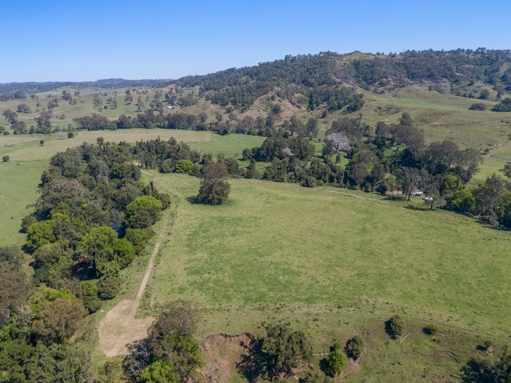 Figtree Camping & Glamping | 450 Wiangaree Back Rd, West Wiangaree NSW 2474, Australia | Phone: 0431 486 354