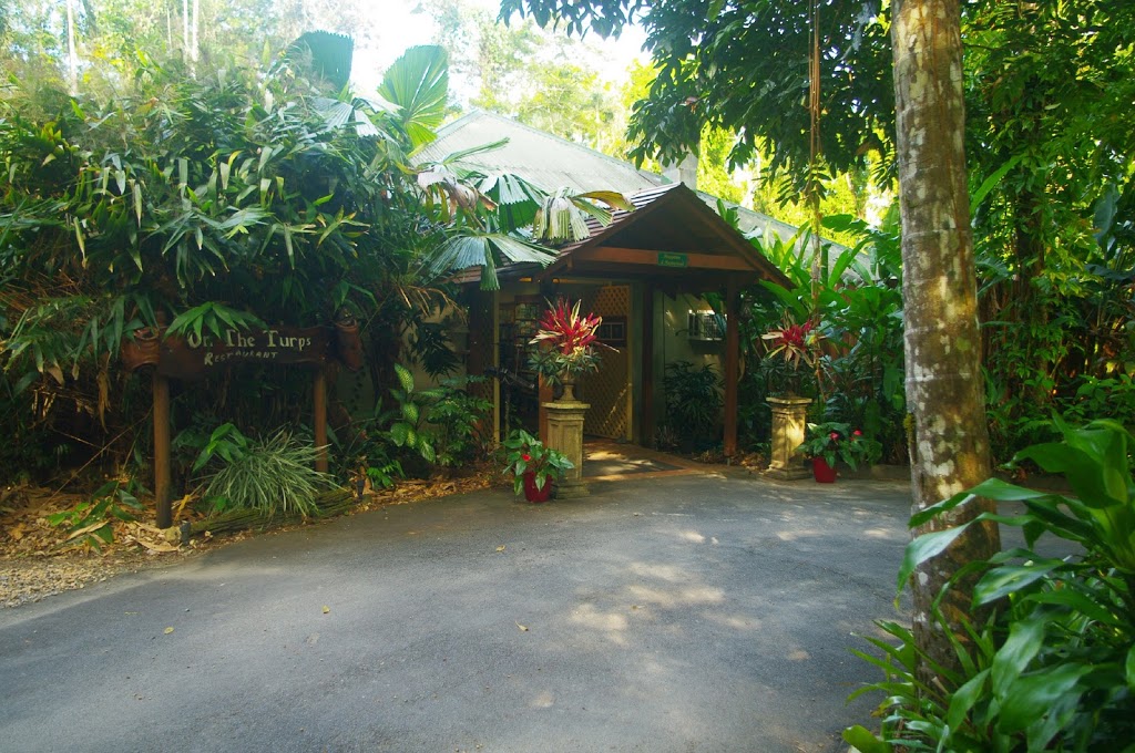 Heritage Lodge In The Daintree | 236 Turpentine Rd, Diwan QLD 4873, Australia | Phone: (07) 4098 9321