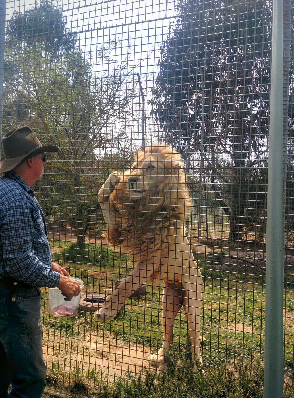 Mansfield Zoo | 1064 Mansfield-Woods Point Rd, Mansfield VIC 3722, Australia | Phone: (03) 5777 3576