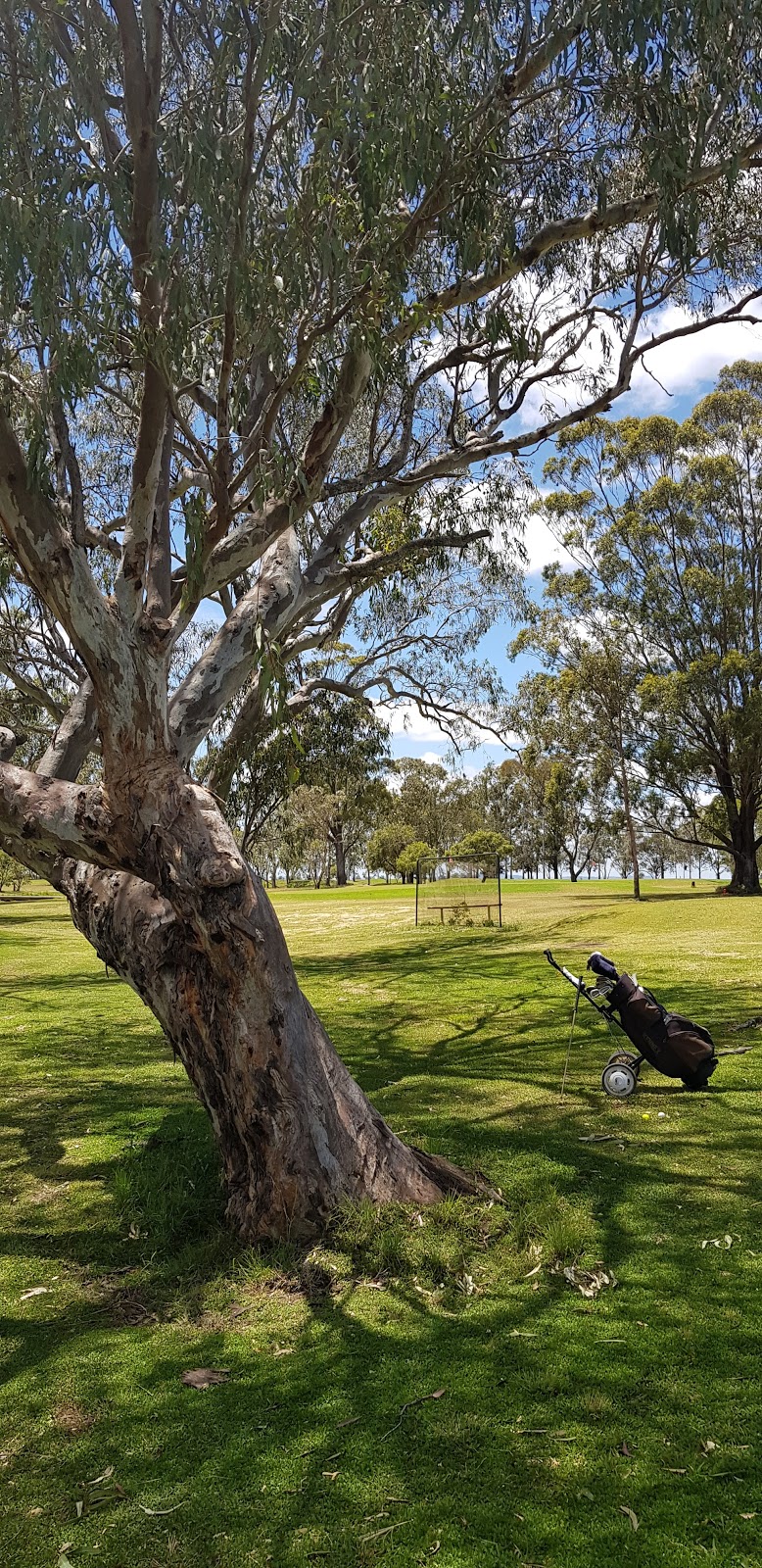 Oakey Golf Club Incorporated | Warrego Hwy, Oakey QLD 4401, Australia | Phone: (07) 4692 2158