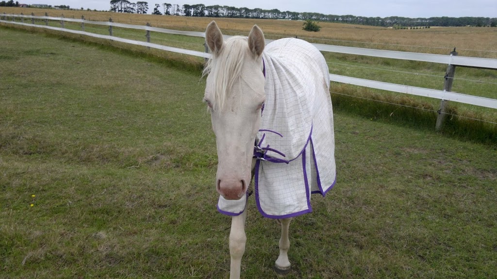 Yarrabee Farm - Horse Agistment |  | 246 Gearys Ln, Ballan VIC 3342, Australia | 0473350000 OR +61 473 350 000