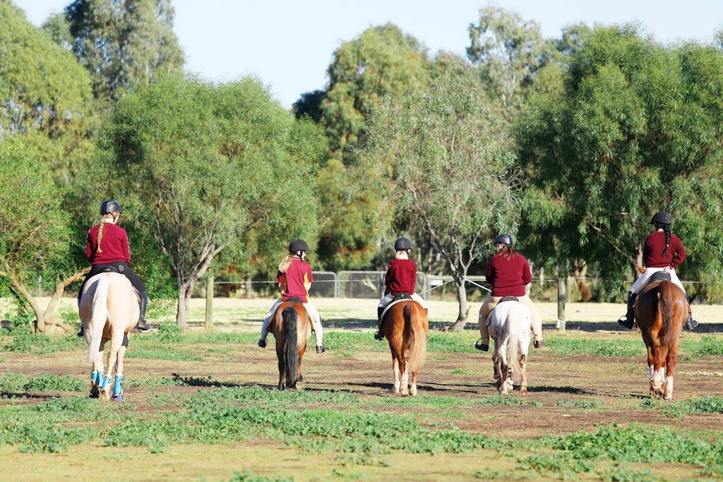 Pegasus Pony Club |  | 171-191 Greenwith Rd, Golden Grove SA 5125, Australia | 0410105377 OR +61 410 105 377