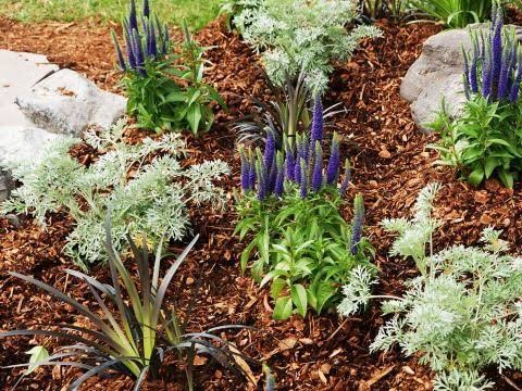 Lattas lawn and gardening services | 1 Cedar Wattle Pl, Narellan Vale NSW 2567, Australia | Phone: 0409 988 805