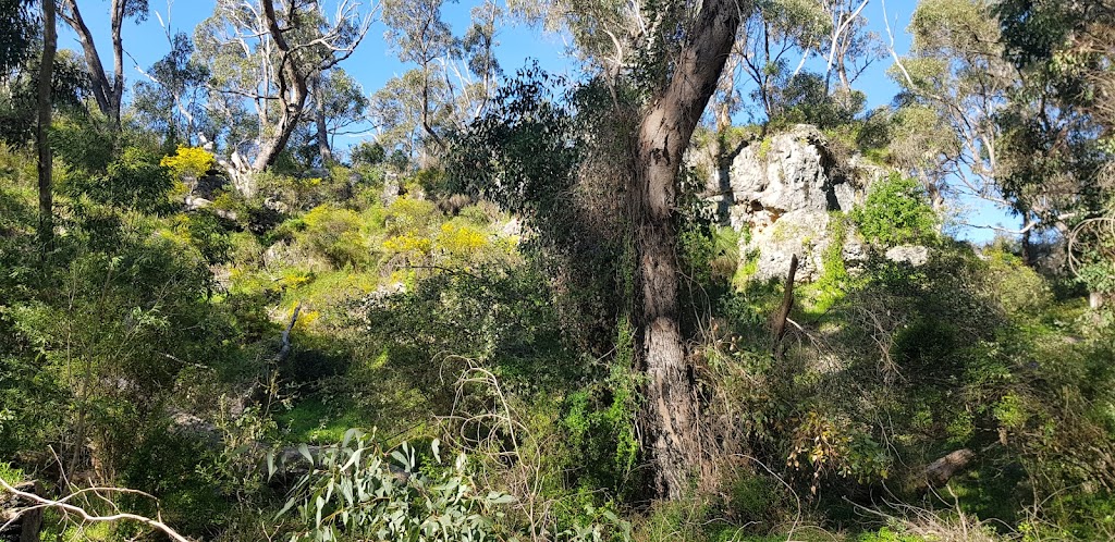 Boomerang Gorge - Dwerta Mia Walk Trail | tourist attraction | Yanchep WA 6035, Australia | 0893037759 OR +61 8 9303 7759