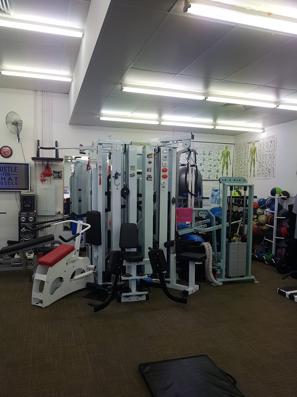 Vo2 Express Cranbourne North | 2/2-10S William Thwaites Blvd, Cranbourne North VIC 3977, Australia | Phone: (03) 5991 4609