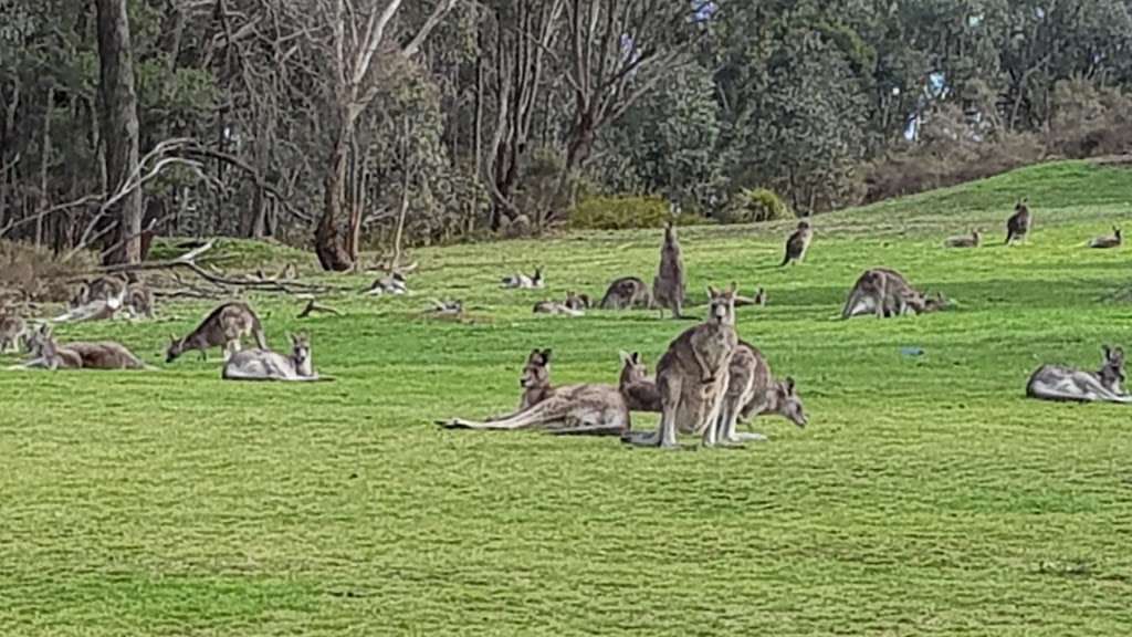 Broadford Golf Club | 30 Horwood Rd, Broadford VIC 3658, Australia | Phone: (03) 5784 1092