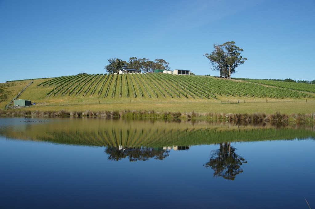 Priory Ridge Wines | 280 Ansons Bay Rd, St Helens TAS 7216, Australia | Phone: (03) 6376 1916