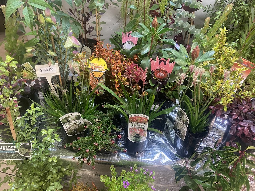 sandras nursery | 141 Witt St, Benalla VIC 3672, Australia | Phone: 0417 315 726