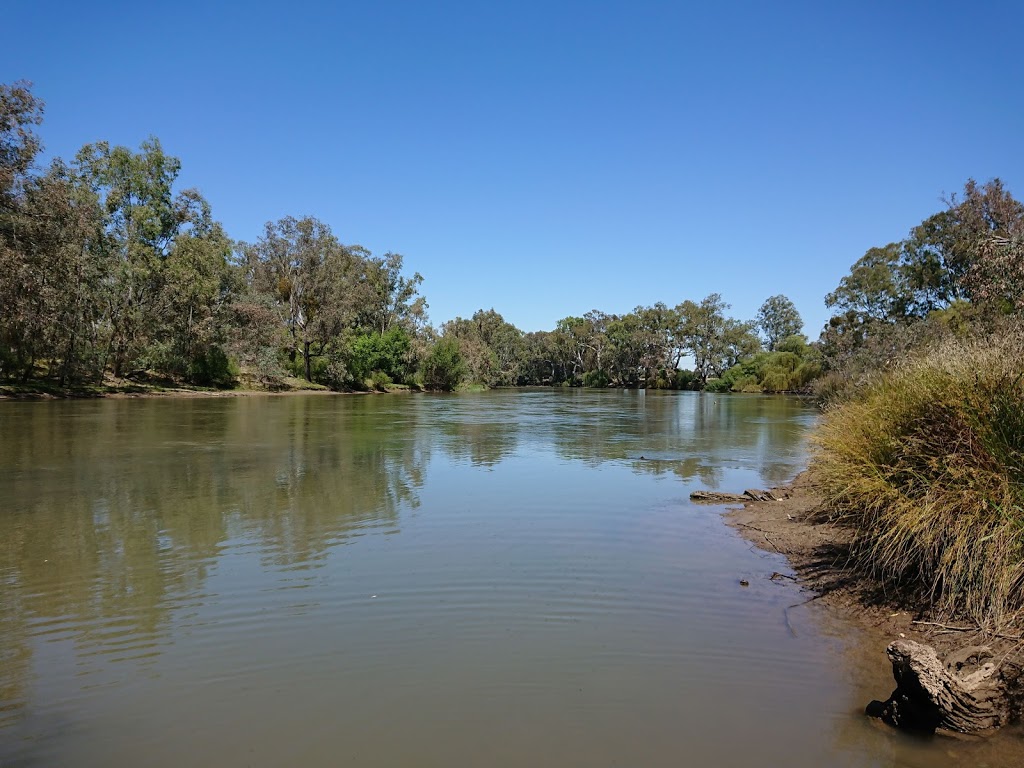 Murray River Canoe Hire | store | 301 Macauley St, Albury NSW 2640, Australia | 0417691339 OR +61 417 691 339