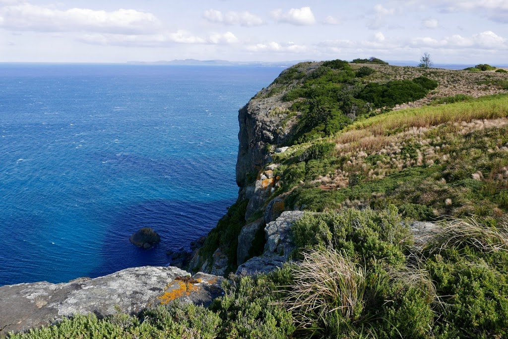 Tatlows Beach Lookout | The Nut Summit Cct, Stanley TAS 7331, Australia