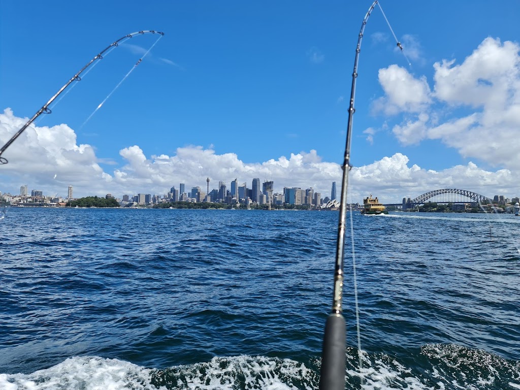 Blue Reef Fishing Charters | tourist attraction | Sydney NSW Thames Street ferry wharf, Balmain NSW 2041, Australia | 0404242234 OR +61 404 242 234