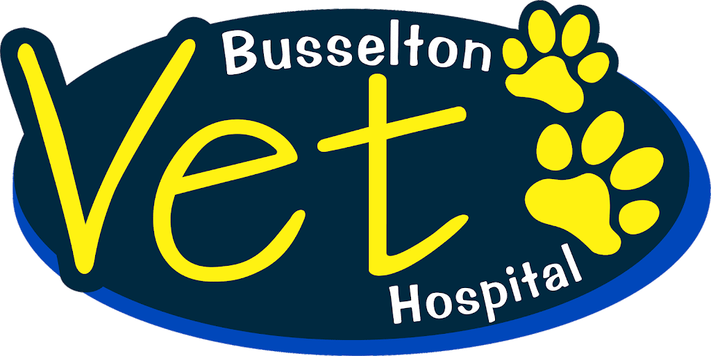 Busselton Vet Hospital | pharmacy | 60 Bussell Hwy, Busselton WA 6280, Australia | 0897521433 OR +61 8 9752 1433
