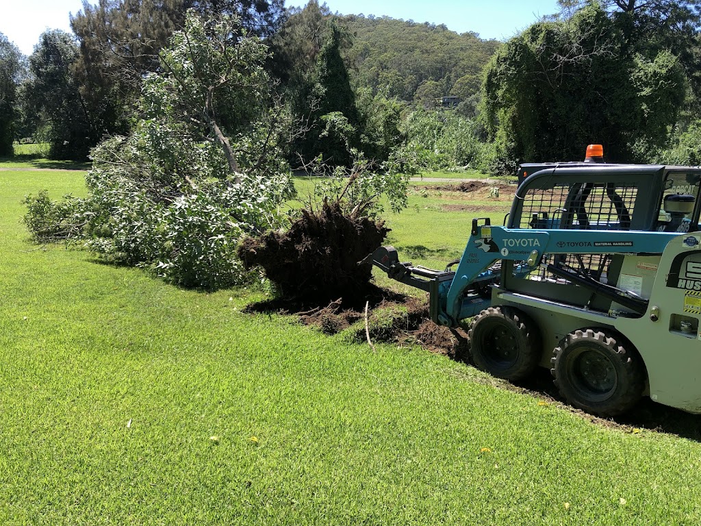 Bobcat Tipper Service | Dungog Rd, Martins Creek NSW 2420, Australia | Phone: 0487 624 605