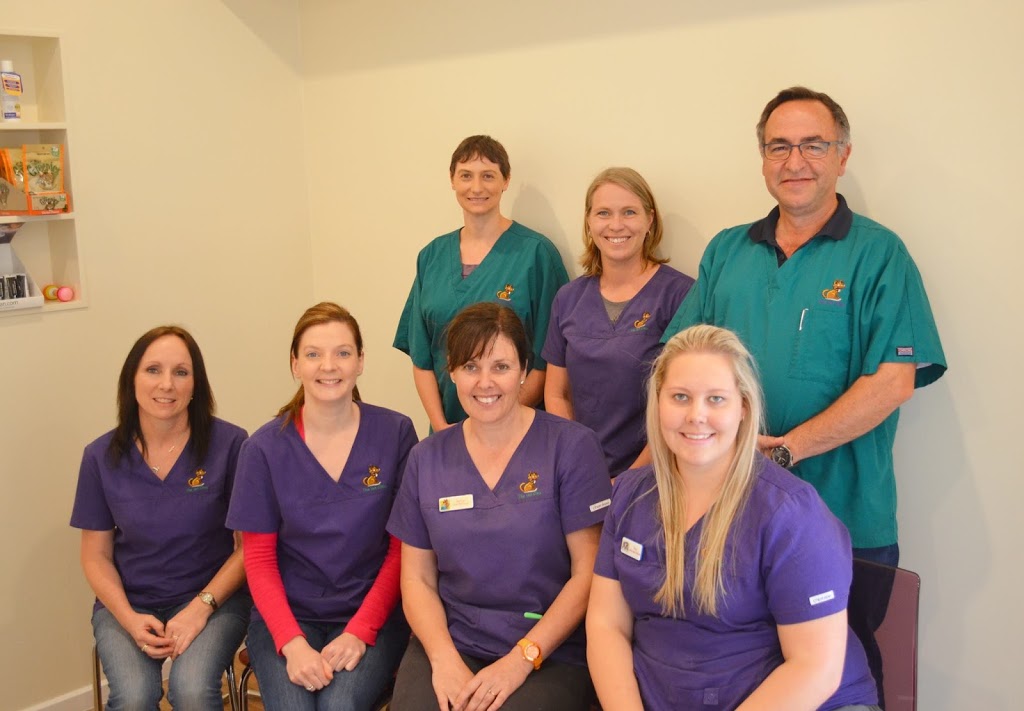 The Vet Clinic | 24 Murray St, Angaston SA 5353, Australia | Phone: (08) 8564 3488