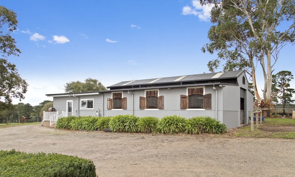 South Peninsula Stables | 177 Coolart Rd, Hastings VIC 3915, Australia | Phone: 0409 217 278