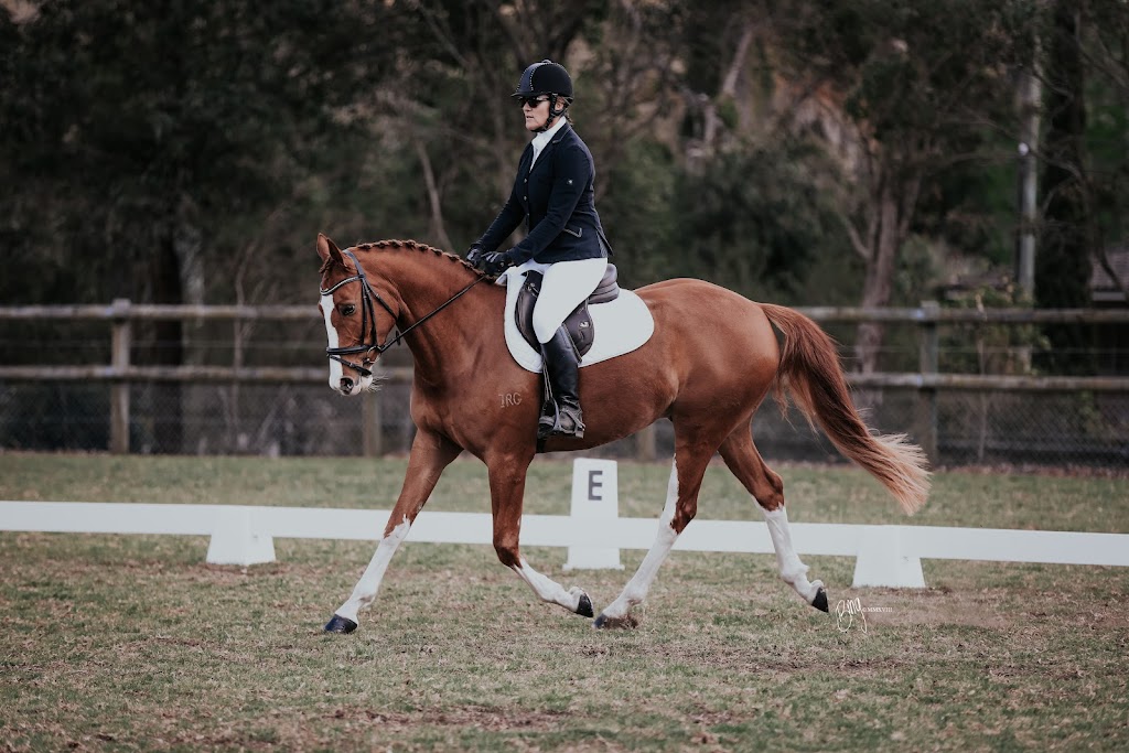 Pearson Equine | 514 Middle Arm Rd, Goulburn NSW 2580, Australia | Phone: 0403 733 125