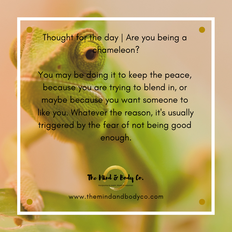 The Mind and Body Co | Manly West, QLD, Australia | Phone: 0420 787 553