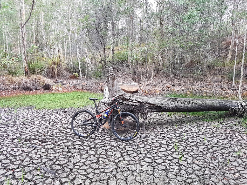 Ferny Forest MTB Trails | park | 2316 Steve Irwin Way, Landsborough QLD 4550, Australia