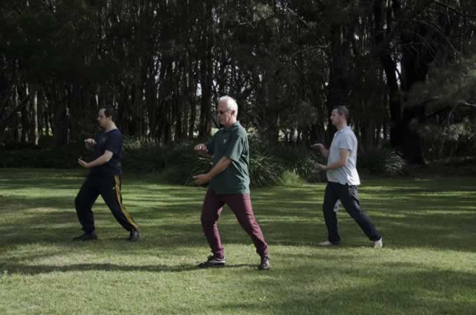 Tai Chi Sydney | Dickens Drive Centennial Park, Labyrinth, Sydney NSW 2021, Australia | Phone: 0415 689 638