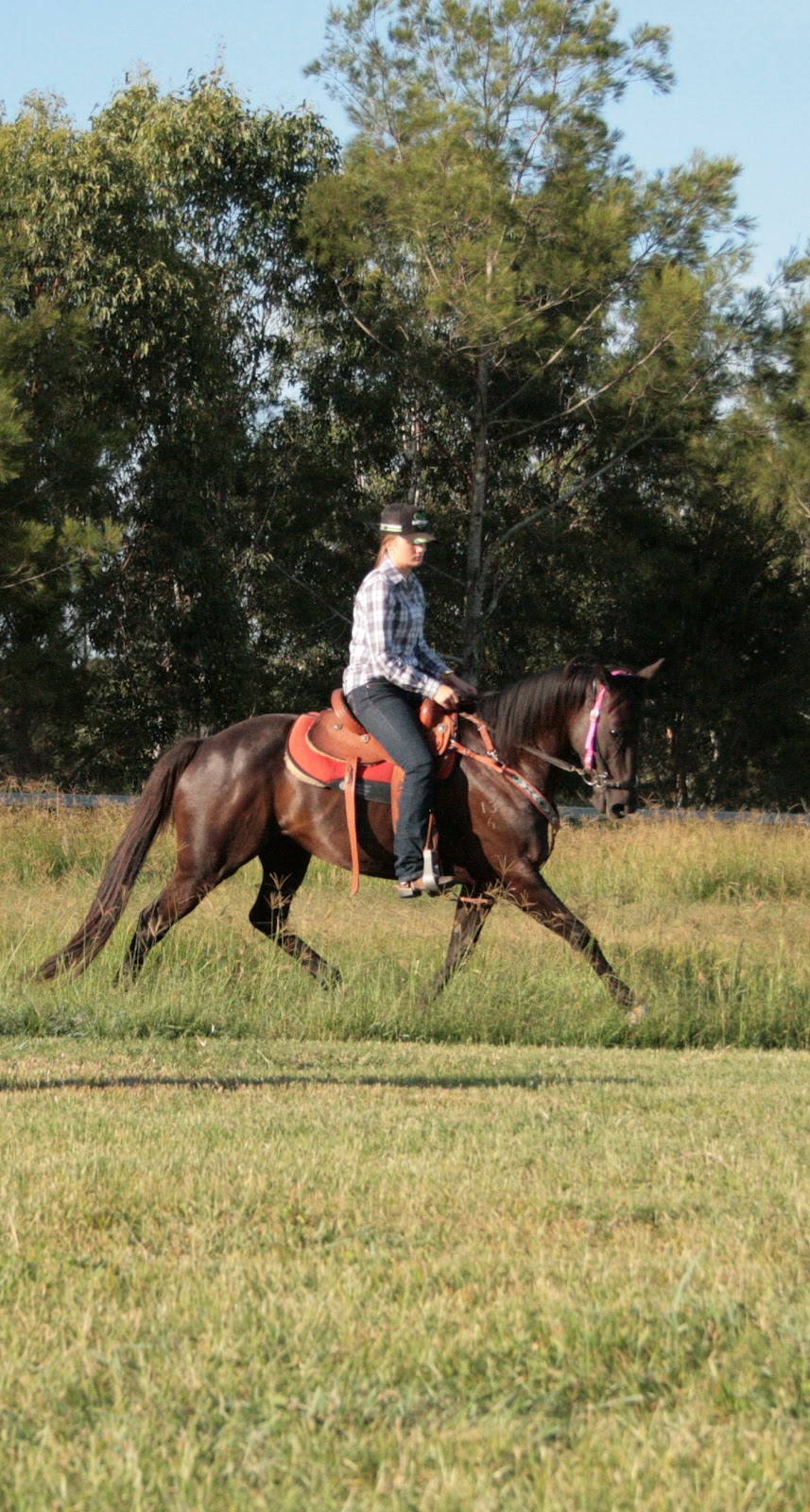 LP Lodge | 3199 Beaudesert Boonah Rd, Beaudesert QLD 4285, Australia | Phone: 0434 489 992