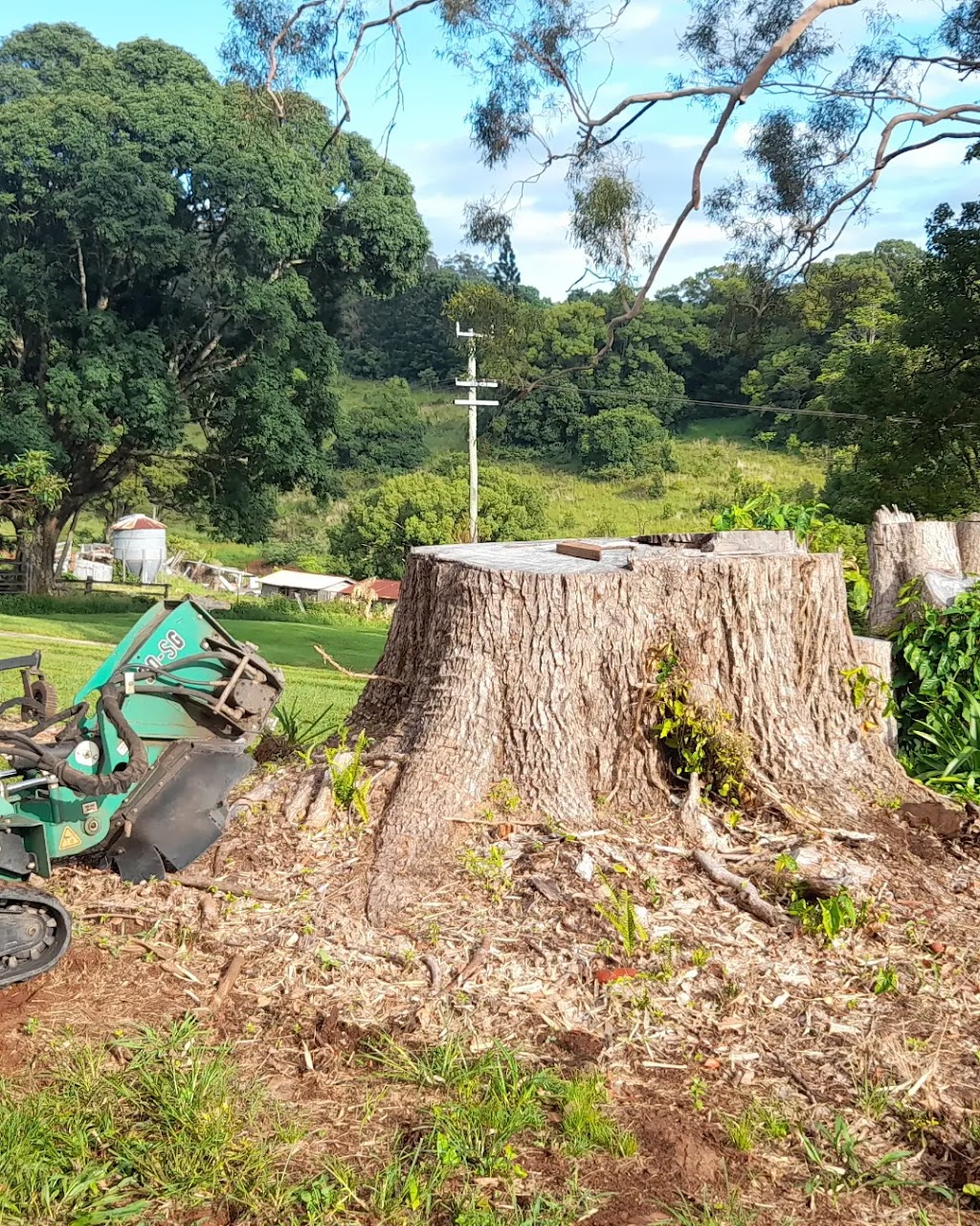 Pulp Stump Grinding | 85 Phillip St, Chinderah NSW 2487, Australia | Phone: 0457 164 338