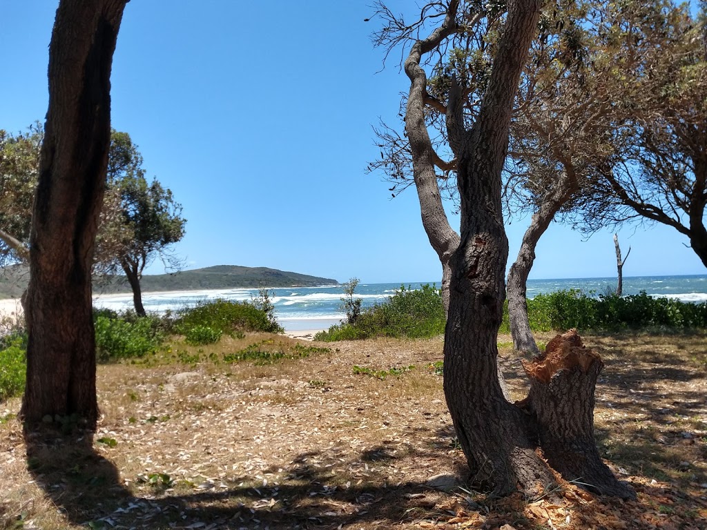 Shelley Head campground | Shelley Track S, Yuraygir NSW 2464, Australia | Phone: (02) 6641 1500