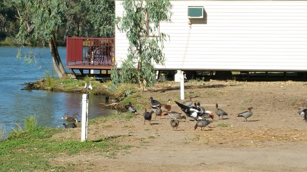 Willow Bend Caravan Park | rv park | 14-16 Darling St, Wentworth NSW 2648, Australia | 0350273213 OR +61 3 5027 3213