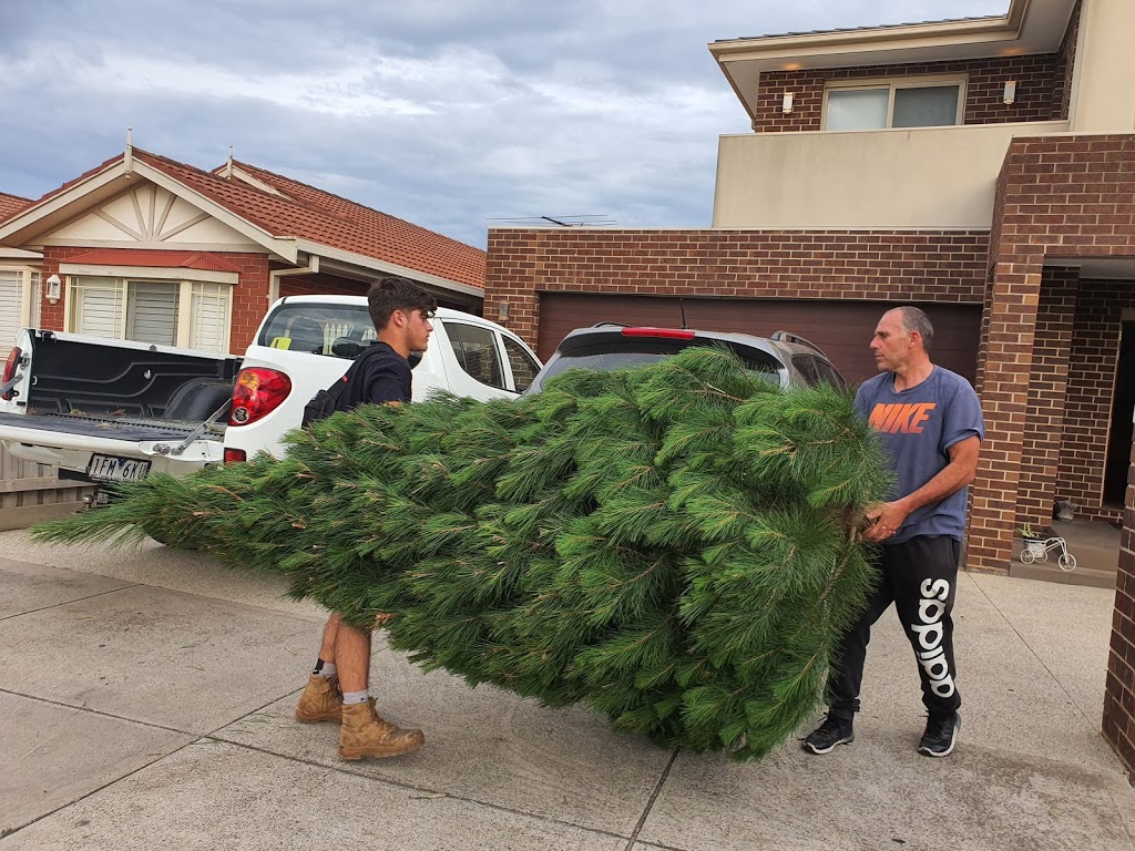 North Pole Christmas Trees Farm | 1000 Old Sydney Rd, Beveridge VIC 3064, Australia | Phone: (03) 9308 3571