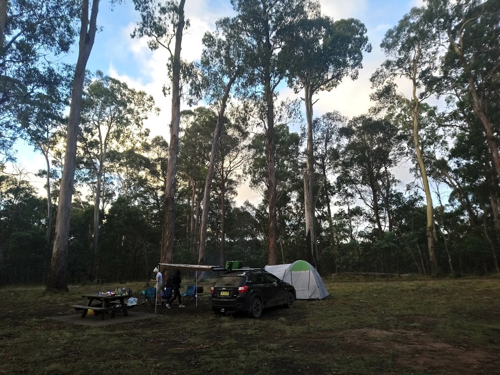 Horse Swamp campground | campground | Horse Swamp Access, Moonan Brook NSW 2337, Australia | 0265451128 OR +61 2 6545 1128