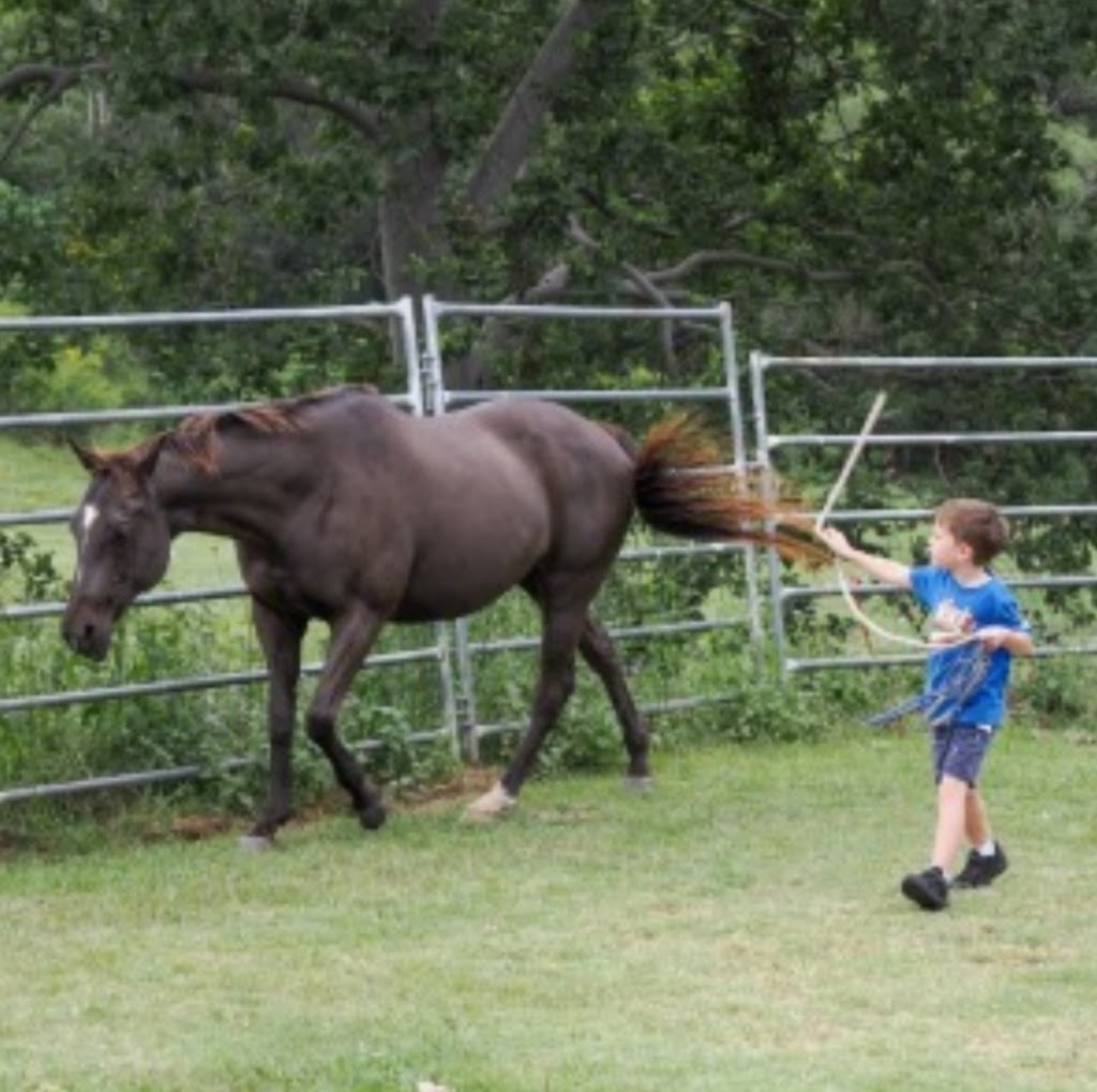 Brumbies Hollow Cabin Stay and Equine Experiences | *, Highvale QLD 4520, Australia | Phone: (07) 3289 7912