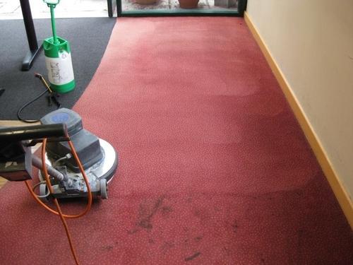 Arundel Carpet Cleaners | 5 Technology Dr, Arundel QLD 4216, Australia | Phone: (07) 5574 4022