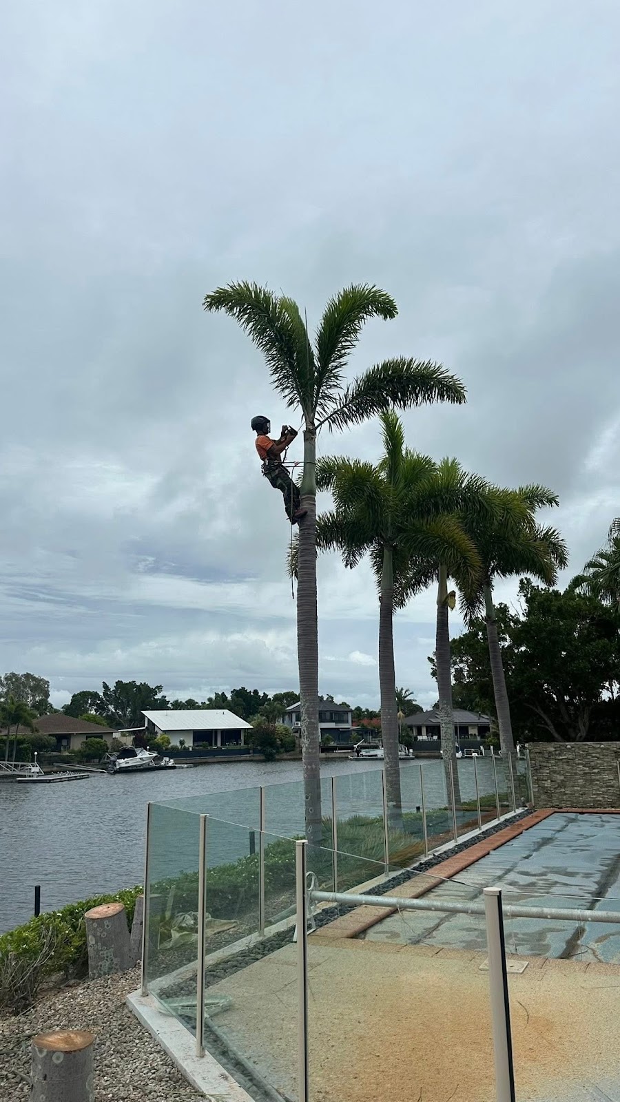 S&K Tree Lopping | Alexander Cres, Morayfield QLD 4506, Australia | Phone: 0493 416 150