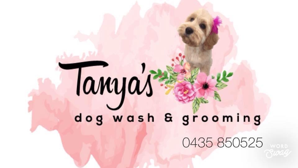Tanya’s Dog Wash & Grooming | point of interest | 29 Riviera Ave, Tweed Heads West NSW 2485, Australia | 0435850525 OR +61 435 850 525