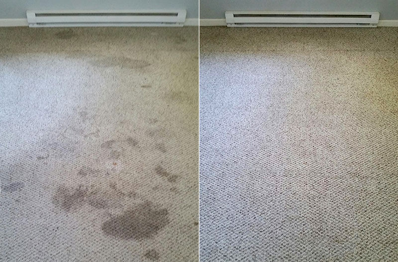 Le s Busy Bee Cleaning Commercial Cleaning Carpet and End of Lea | laundry | 80 Horsley St, Rockbank VIC 3335, Australia