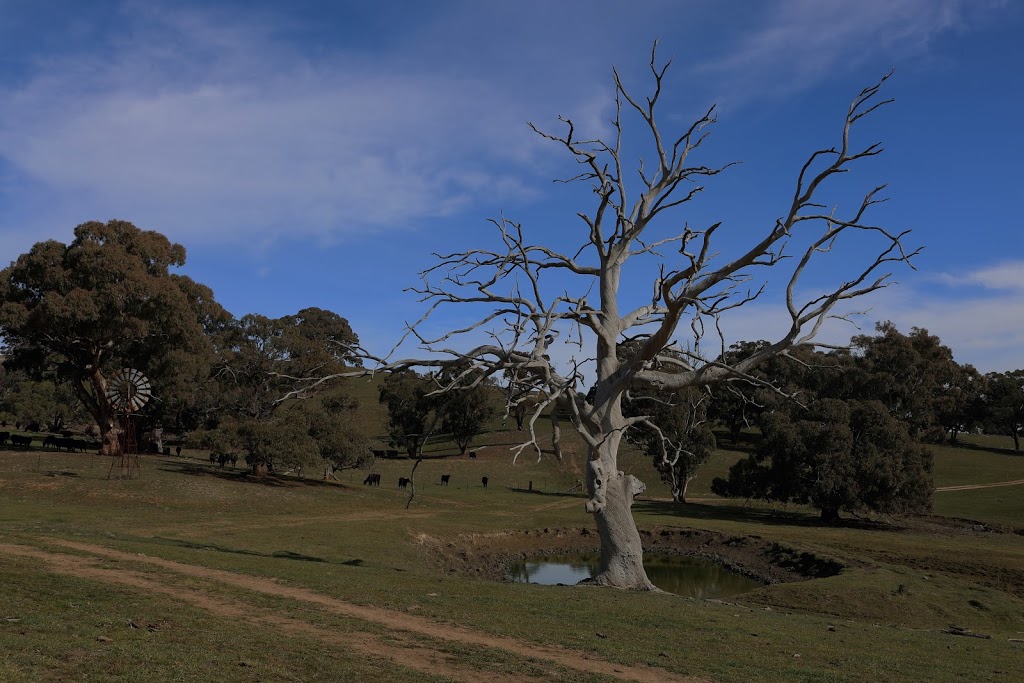 Cadogan Country House | 89 Cashens Ln, Guyong NSW 2798, Australia | Phone: 0419 777 508