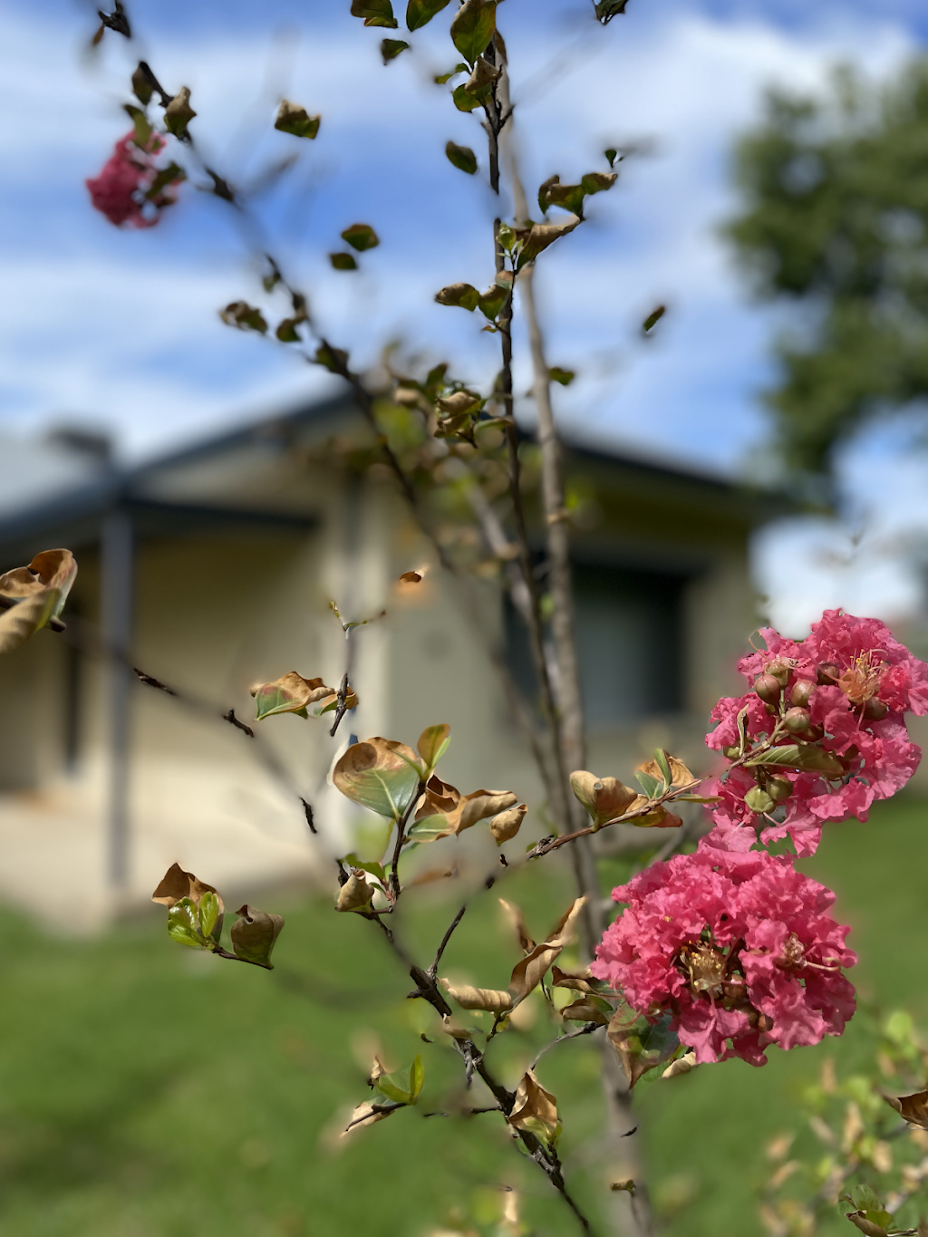 Manas Guesthouse Benalla | 103 Clarke St, Benalla VIC 3672, Australia | Phone: 0481 292 719