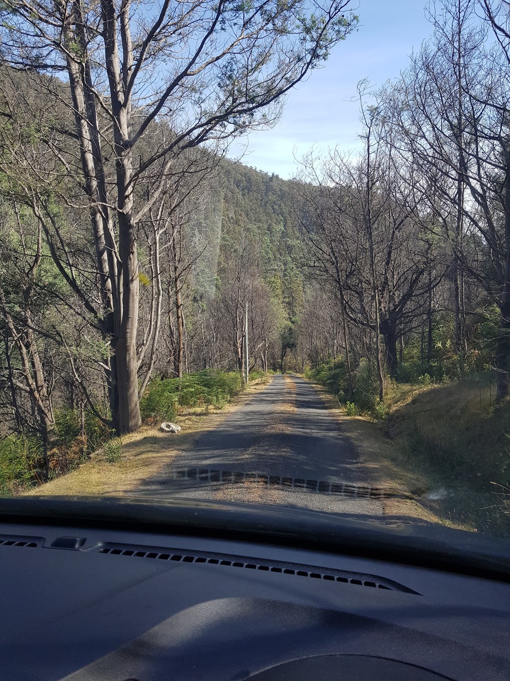 Tasmanian Wilderness Experiences/Base Camp Tasmania | 959 Glenfern Rd, Glenfern TAS 7140, Australia | Phone: (03) 6261 4971